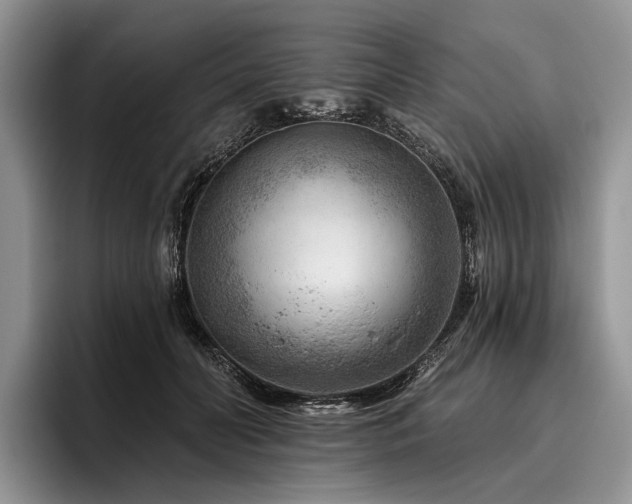 X0000096190606200801181322