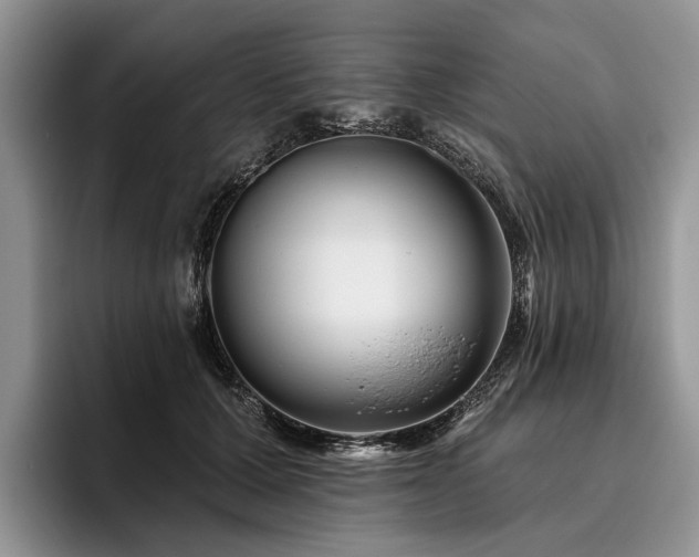 X0000096190607200801181322