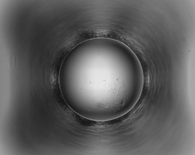 X0000096190608200801181322