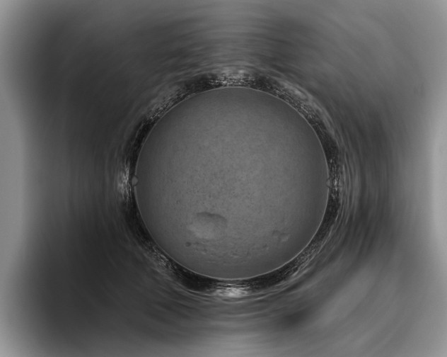 X0000096190610200801181322