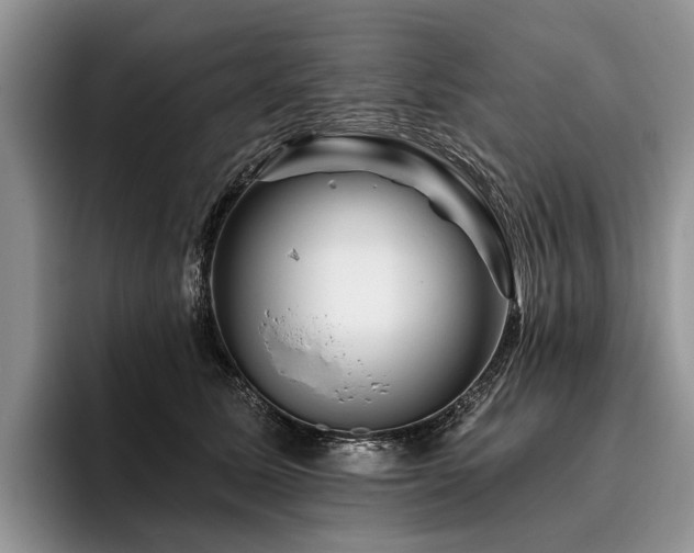X0000096190611200801181322