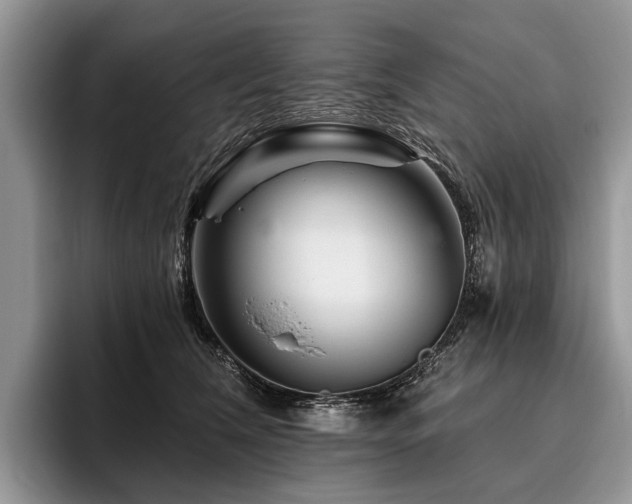 X0000096190612200801181322