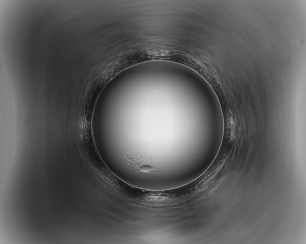 X0000096190614200801181322