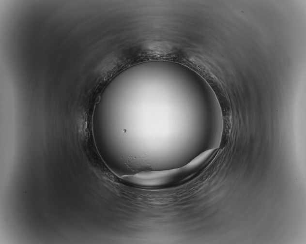 X0000096190615200801181322