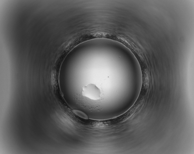 X0000096190616200801181322