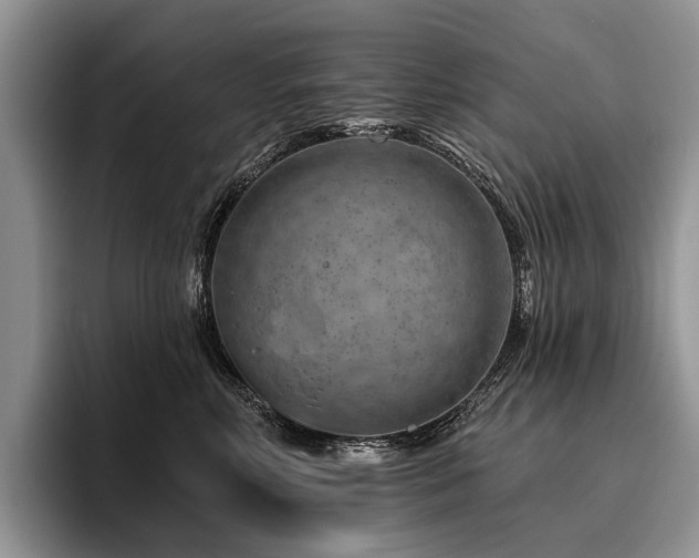 X0000096190618200801181322