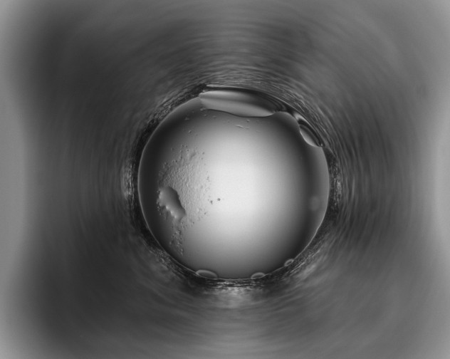X0000096190620200801181322