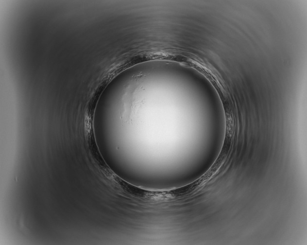 X0000096190621200801181322