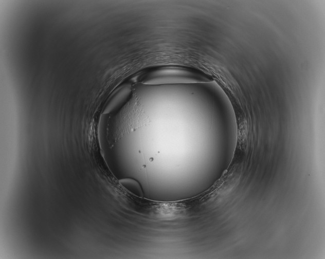 X0000096190623200801181322