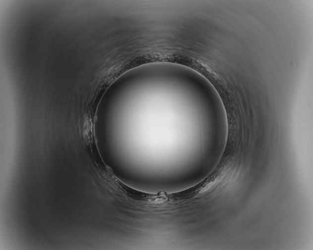 X0000096190624200801181322
