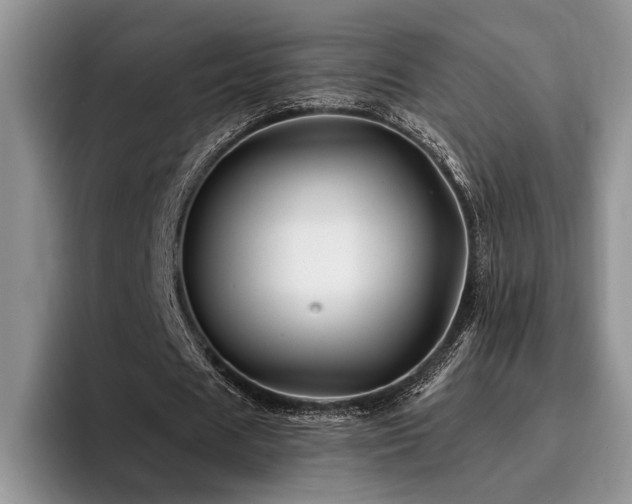 X0000096190625200801181321