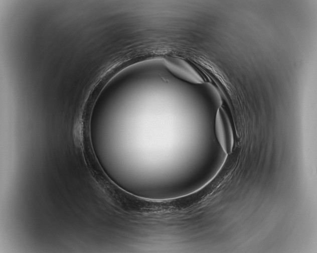 X0000096190626200801181321