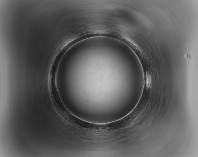 X0000096190627200801181321