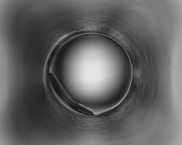 X0000096190628200801181321