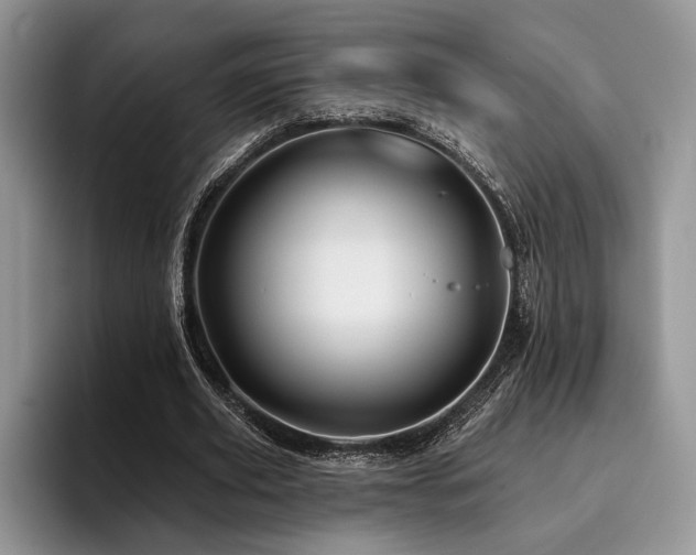 X0000096190629200801181321