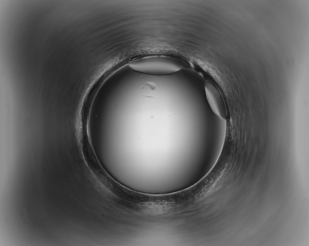 X0000096190630200801181321