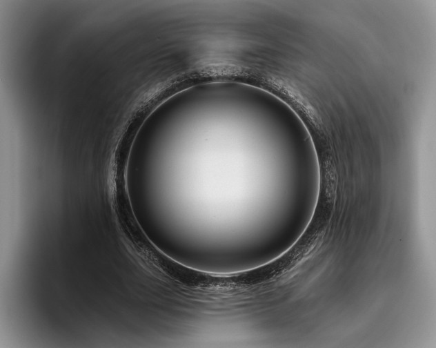 X0000096190631200801181321