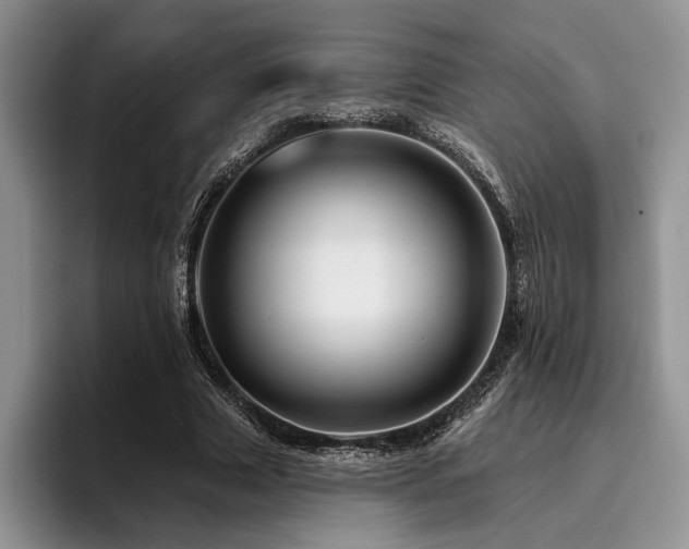 X0000096190633200801181321