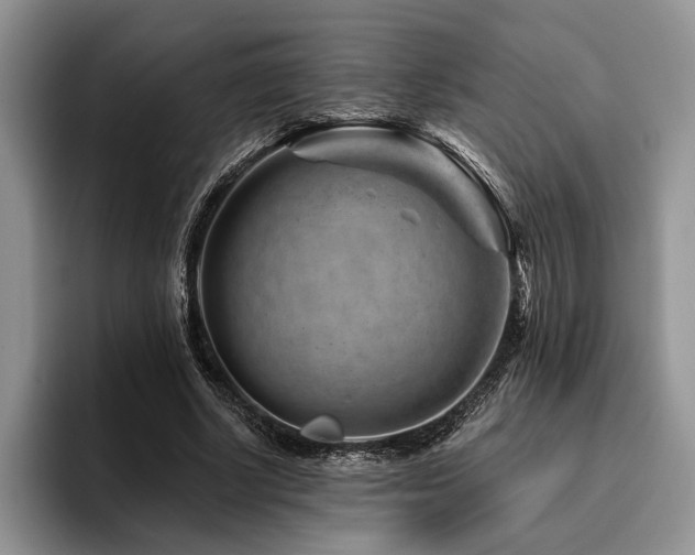 X0000096190634200801181321