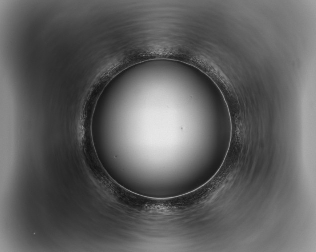 X0000096190635200801181321