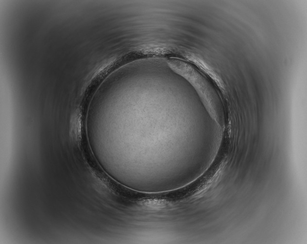 X0000096190637200801181322
