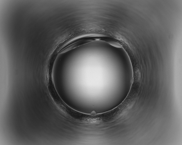 X0000096190638200801181322