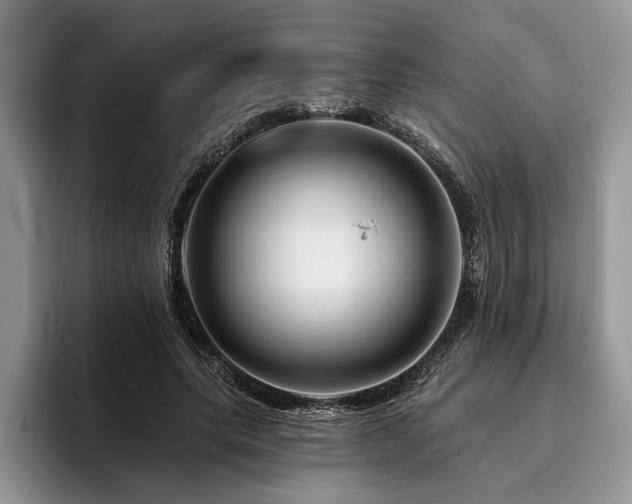 X0000096190639200801181322