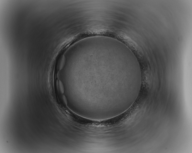 X0000096190640200801181322