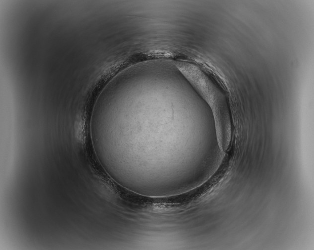 X0000096190641200801181322