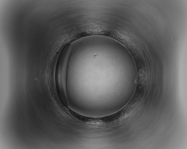 X0000096190642200801181322