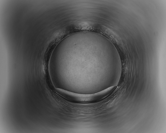 X0000096190643200801181322