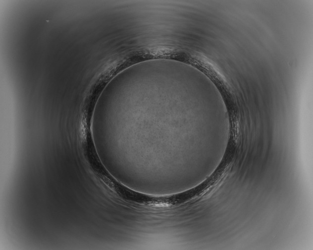 X0000096190644200801181322
