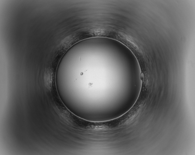 X0000096190645200801181322
