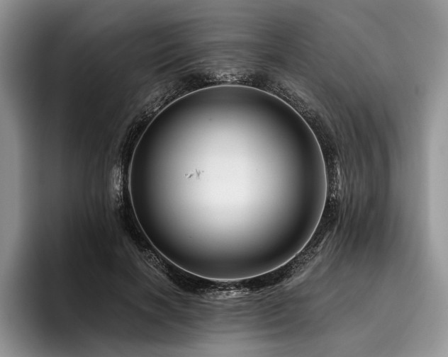 X0000096190646200801181322