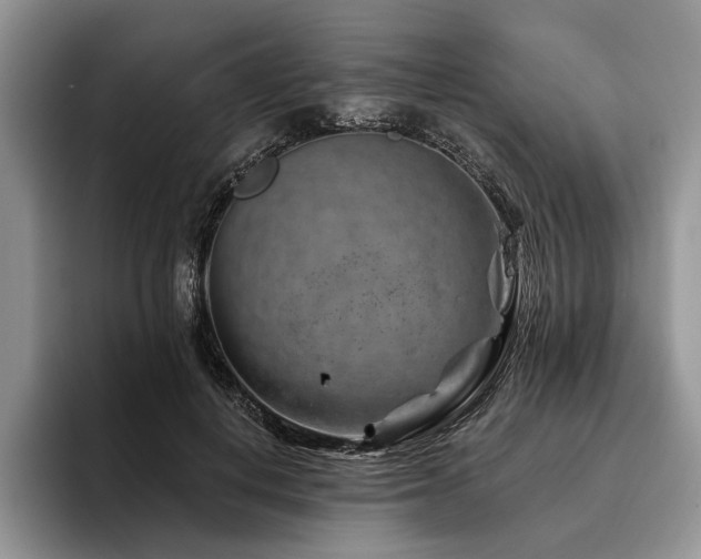 X0000096190648200801181322
