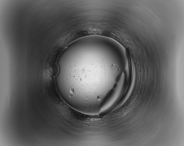 X0000096190649200801181322