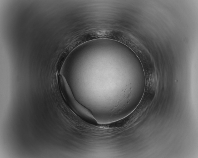 X0000096190651200801181322