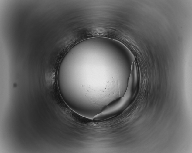X0000096190652200801181322