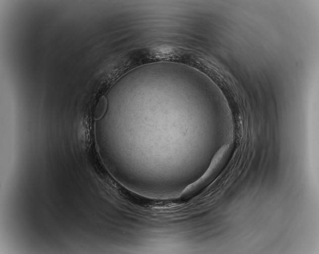 X0000096190653200801181322