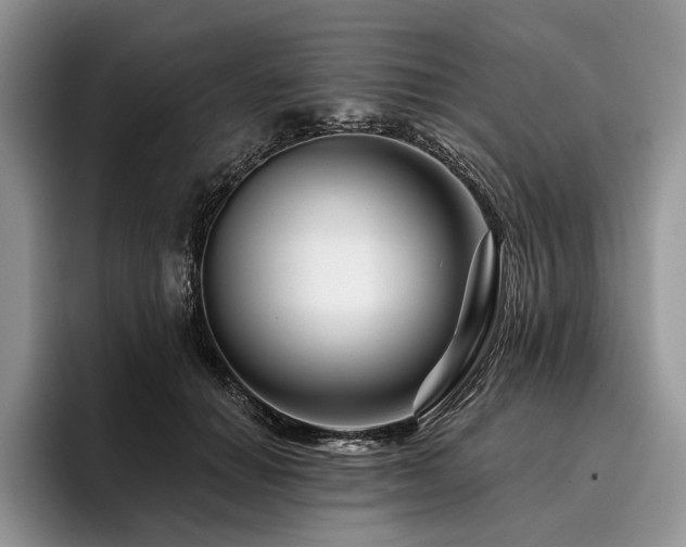X0000096190654200801181322