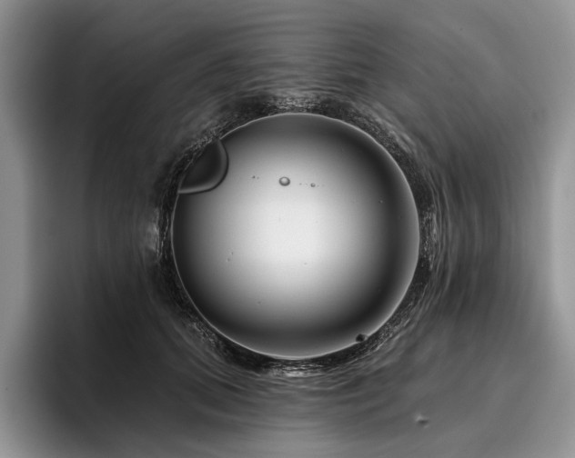 X0000096190655200801181322