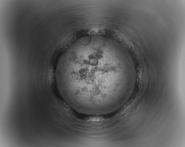 X0000096190659200801181322