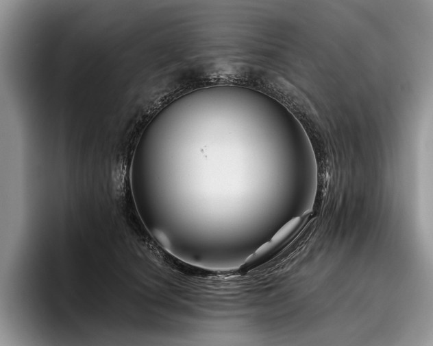 X0000096190660200801181322