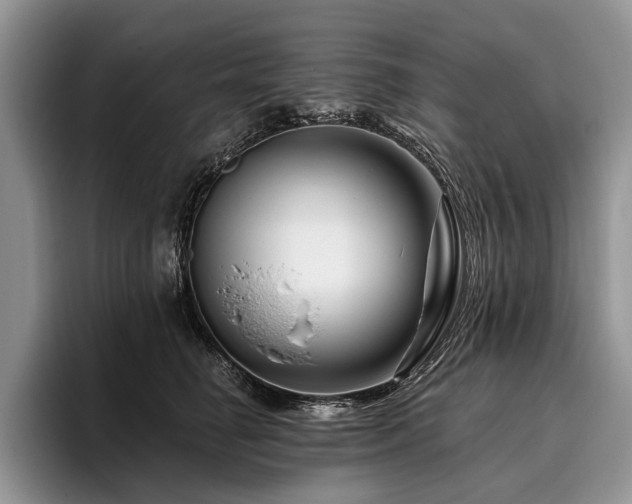 X0000096190662200801181322