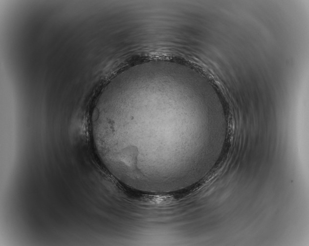 X0000096190663200801181322