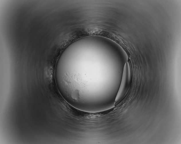X0000096190664200801181322