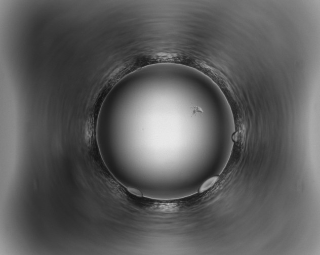 X0000096190665200801181322