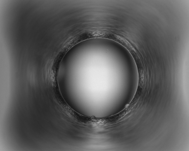 X0000096190667200801181322