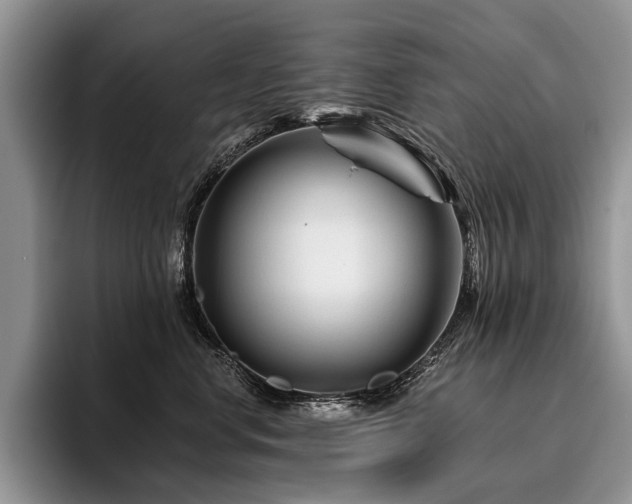 X0000096190668200801181322