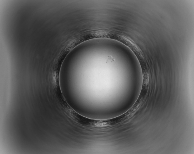 X0000096190669200801181322